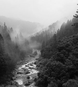 A photo of a river